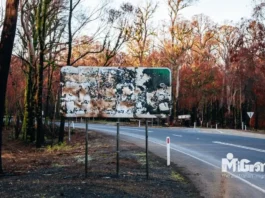 Scene of devastation on the road to Lake Mountain ski resurt after 2009 Black Satruday bushfires near Maryville, Victoria, Australia CREDIT:Chris Putnam