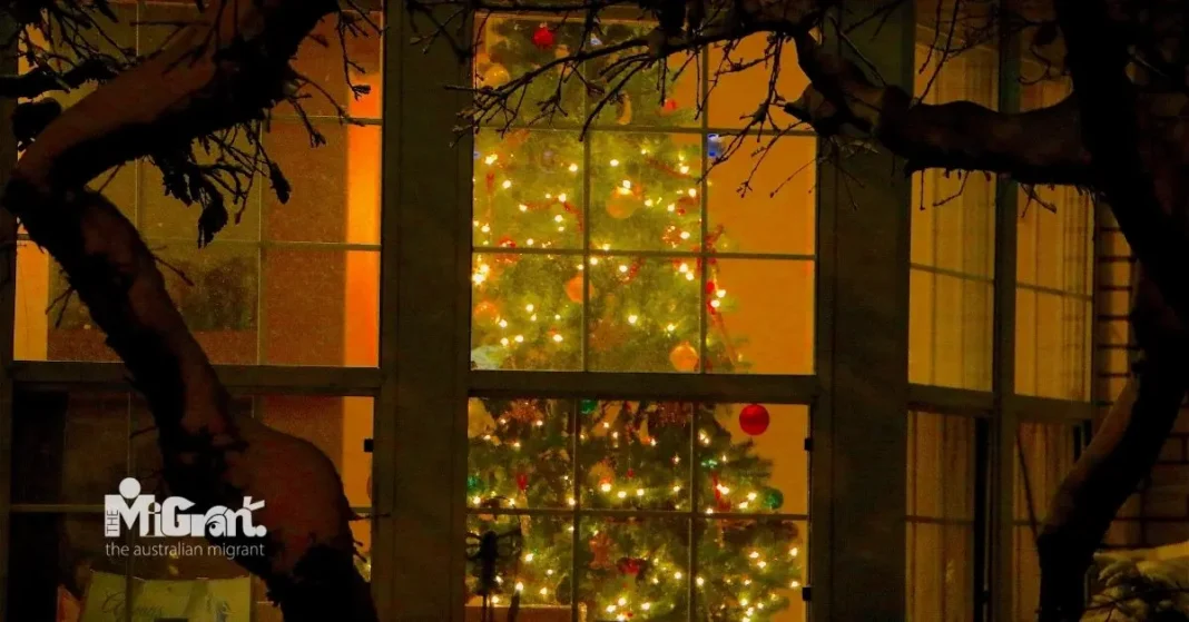 Christmas tree by the window, holiday
