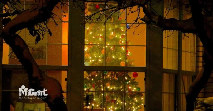 Christmas tree by the window Christmas tree by the window, holiday